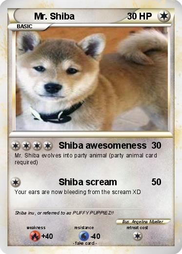 Pokemon Mr. Shiba