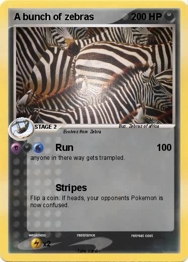 Pokemon A bunch of zebras