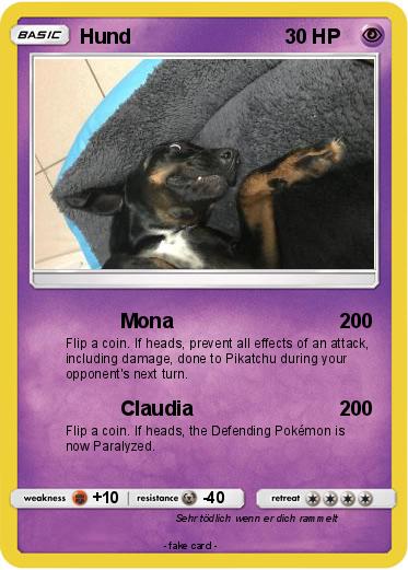Pokemon Hund
