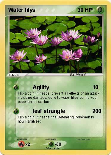 Pokemon Water lilys