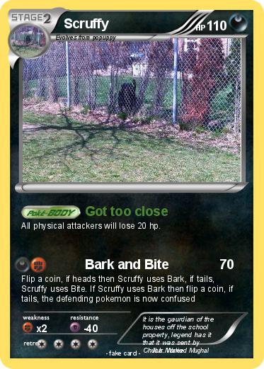 Pokemon Scruffy