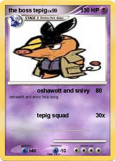 Pokemon the boss tepig