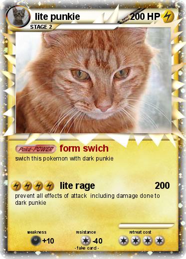 Pokemon lite punkie