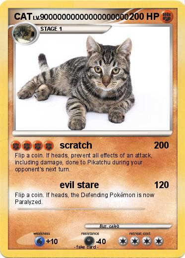 Pokemon CAT