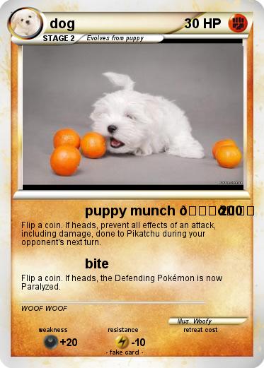 Pokemon dog