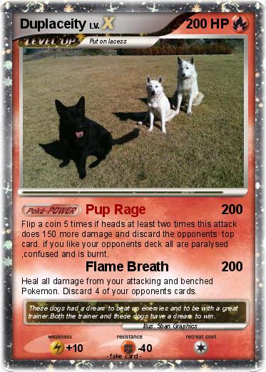 Pokemon Duplaceity