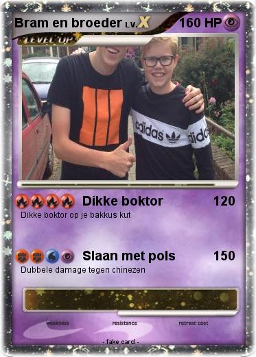 Pokemon Bram en broeder