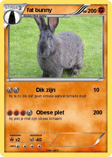 Pokemon fat bunny