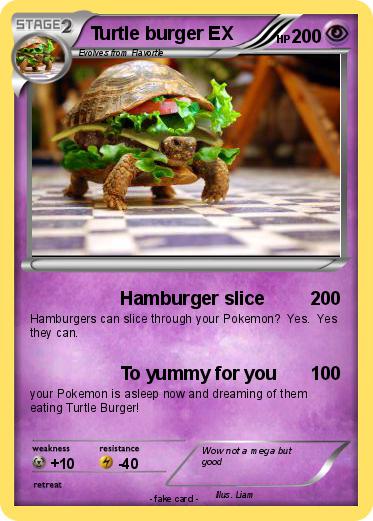 Pokemon Turtle burger EX