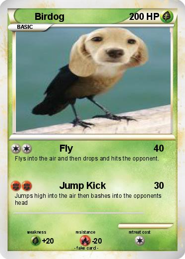 Pokemon Birdog