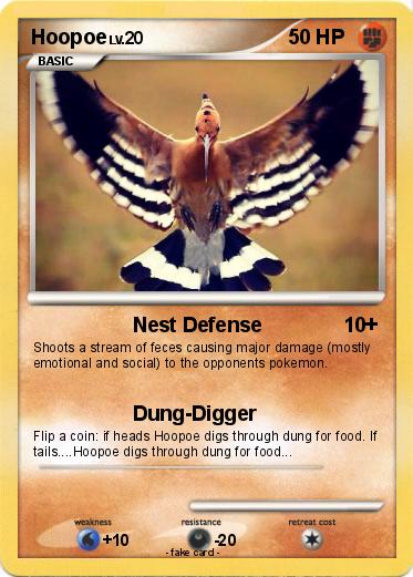 Pokemon Hoopoe