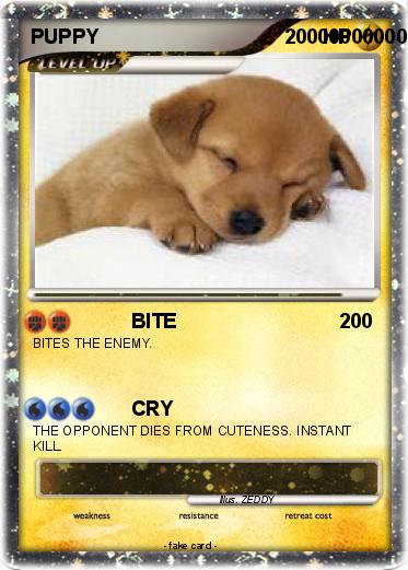 Pokemon PUPPY                                       000000000000000