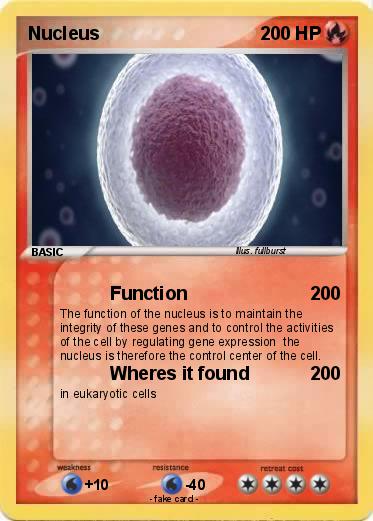 Pokemon Nucleus