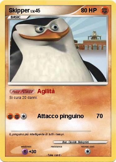 Pokemon Skipper