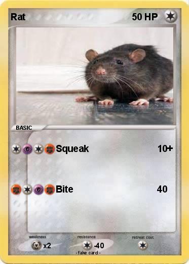 Pokemon Rat