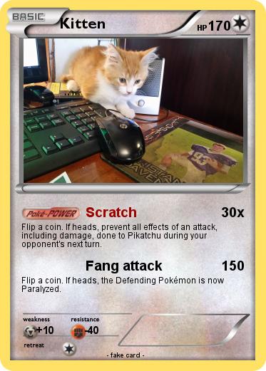 Pokemon Kitten