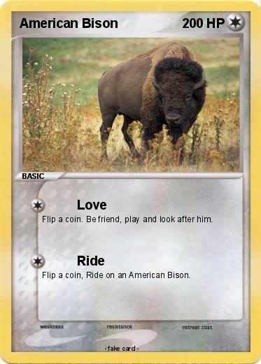 Pokemon American Bison