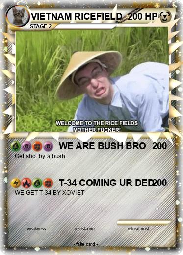 Pokemon VIETNAM RICEFIELD
