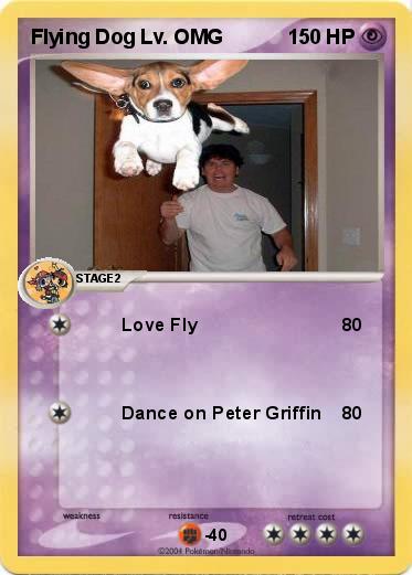Pokemon Flying Dog Lv. OMG