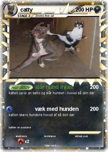 Pokemon catty
