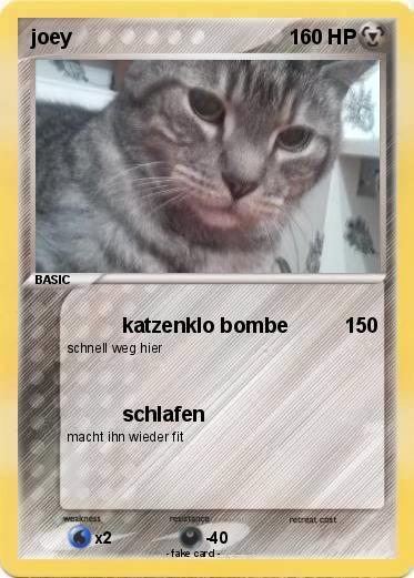 Pokemon joey