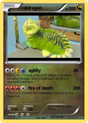 Pokemon catdragon