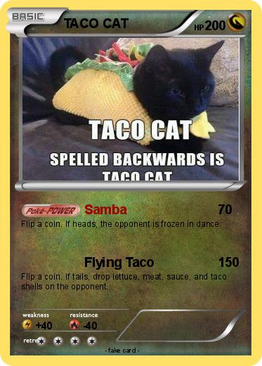 Pokemon TACO CAT