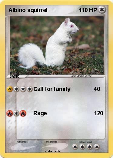 Pokemon Albino squirrel