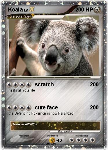 Pokemon Koala