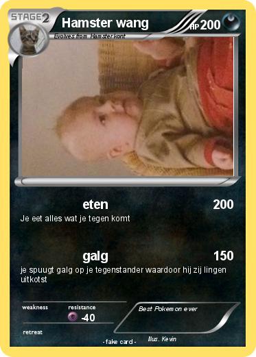 Pokemon Hamster wang