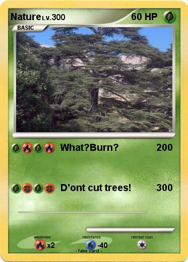 Pokemon Nature