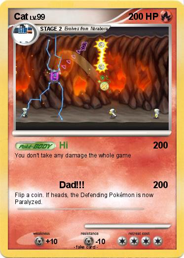 Pokemon Cat