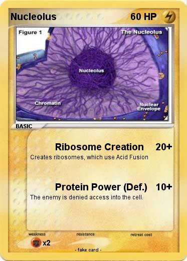 Pokemon Nucleolus