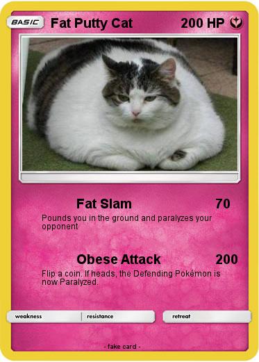 Pokemon Fat Putty Cat