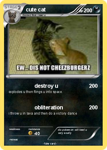 Pokemon cute cat