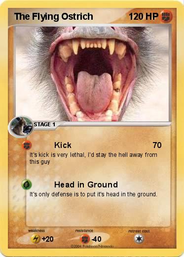 Pokemon The Flying Ostrich