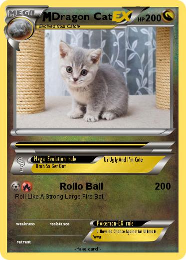 Pokemon Dragon Cat