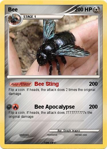Pokemon Bee