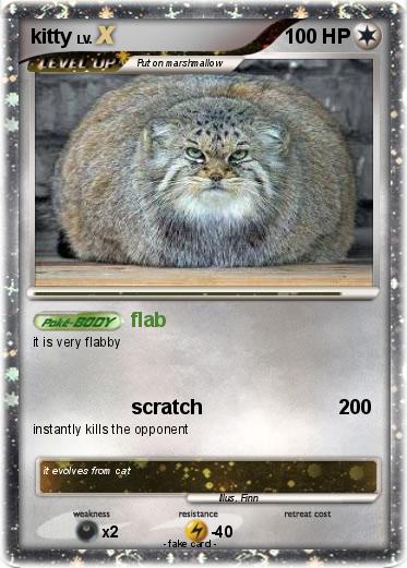 Pokemon kitty