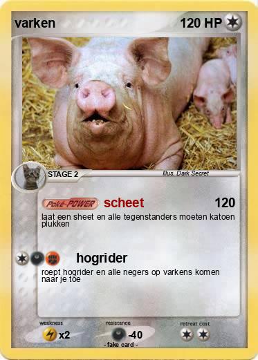 Pokemon varken