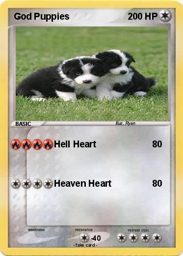 Pokemon God Puppies