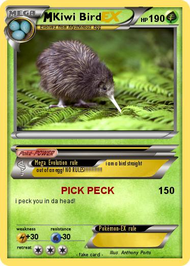 Pokemon Kiwi Bird