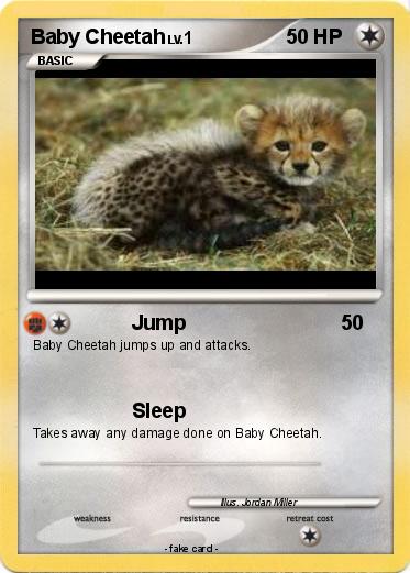 Pokemon Baby Cheetah