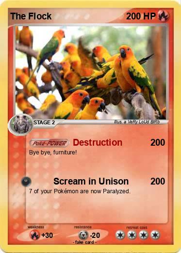 Pokemon The Flock Pokemon The Flock