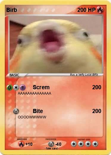 Pokemon Birb