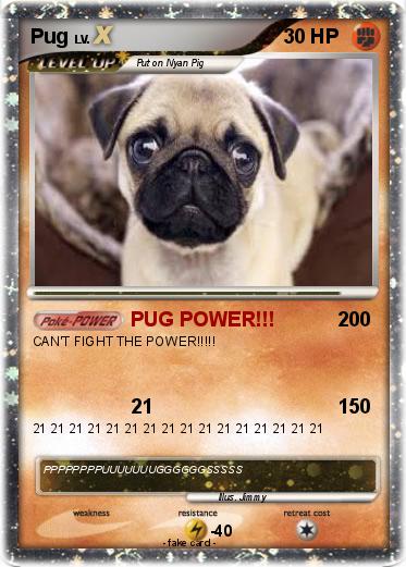 Pokemon Pug
