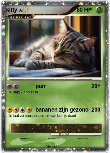 Pokemon kitty