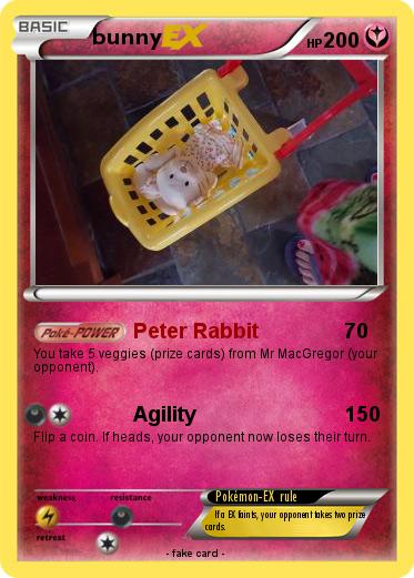 Pokemon bunny