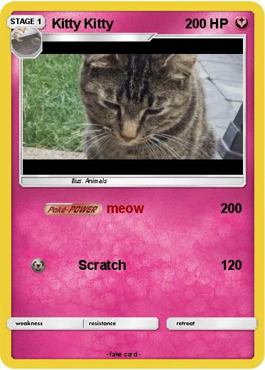 Pokemon Kitty Kitty