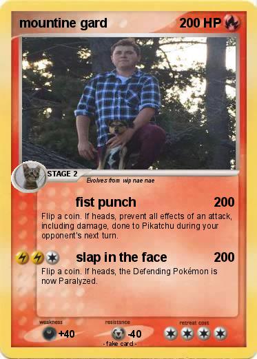 Pokemon mountine gard